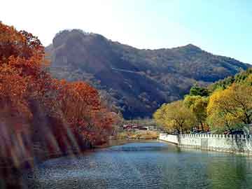 新澳天天开好彩资料大全，山东现汽车屠宰场